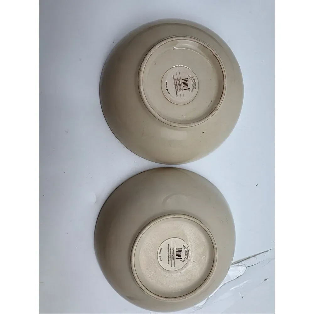 Pier 1 Sanctuary Stoneware Latte Mug & Soup/Pasta Bowl Set of 2 Place Settings
